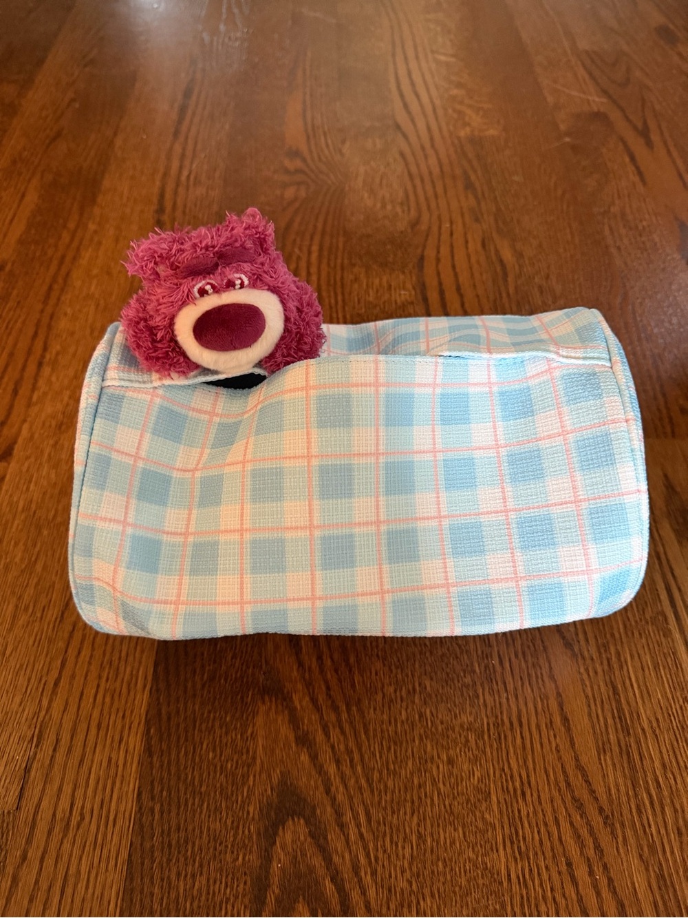 Disney Lotso Toy Story Cover